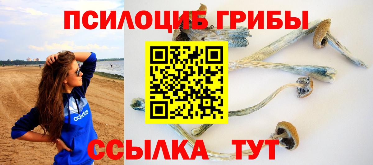 Галлюциногенные грибы мицелий Кизляр