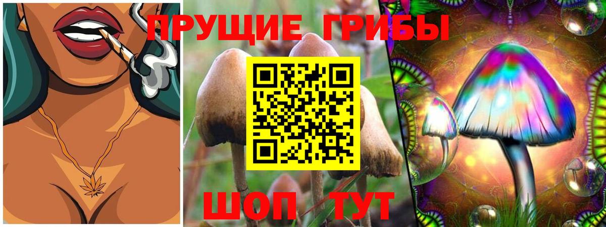 Кизляр  Галлюциногенные грибы мицелий  Вход с VPN 